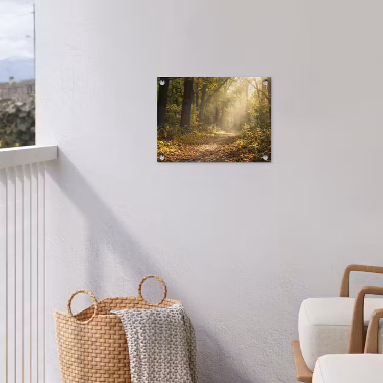 Tuinposter - Zonlicht - Bospad - Bomen — 3