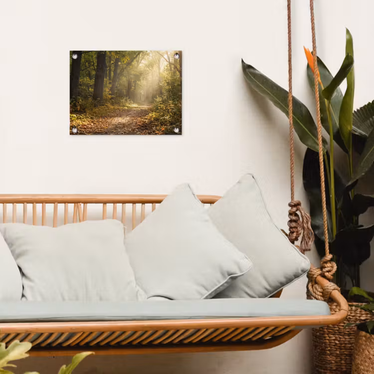 Tuinposter - Zonlicht - Bospad - Bomen — 5