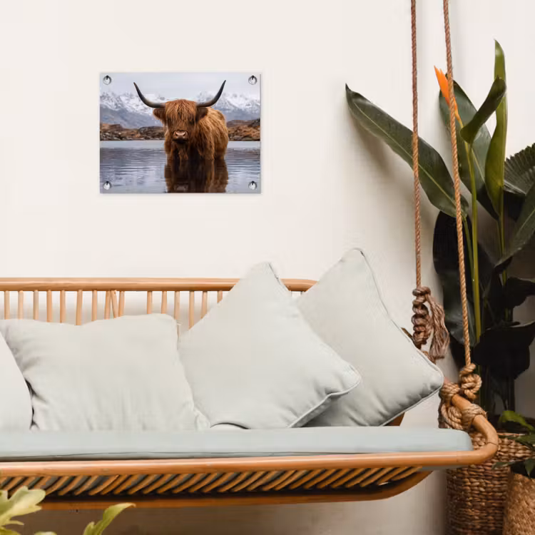 Tuinposter - Schotse hooglander - Bruin - Water — 5