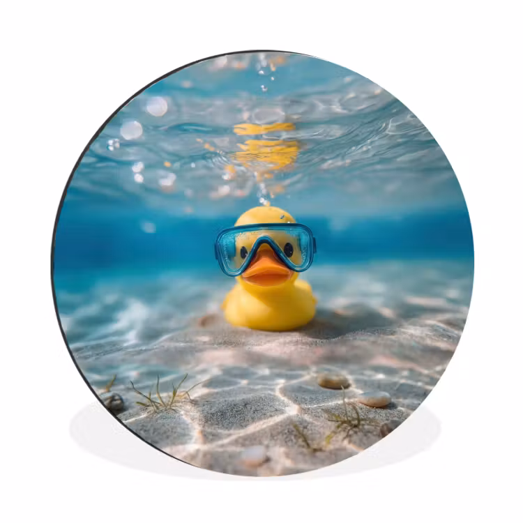 Wandcirkel - Aluminium - Duikbril - Eend - Water — 1