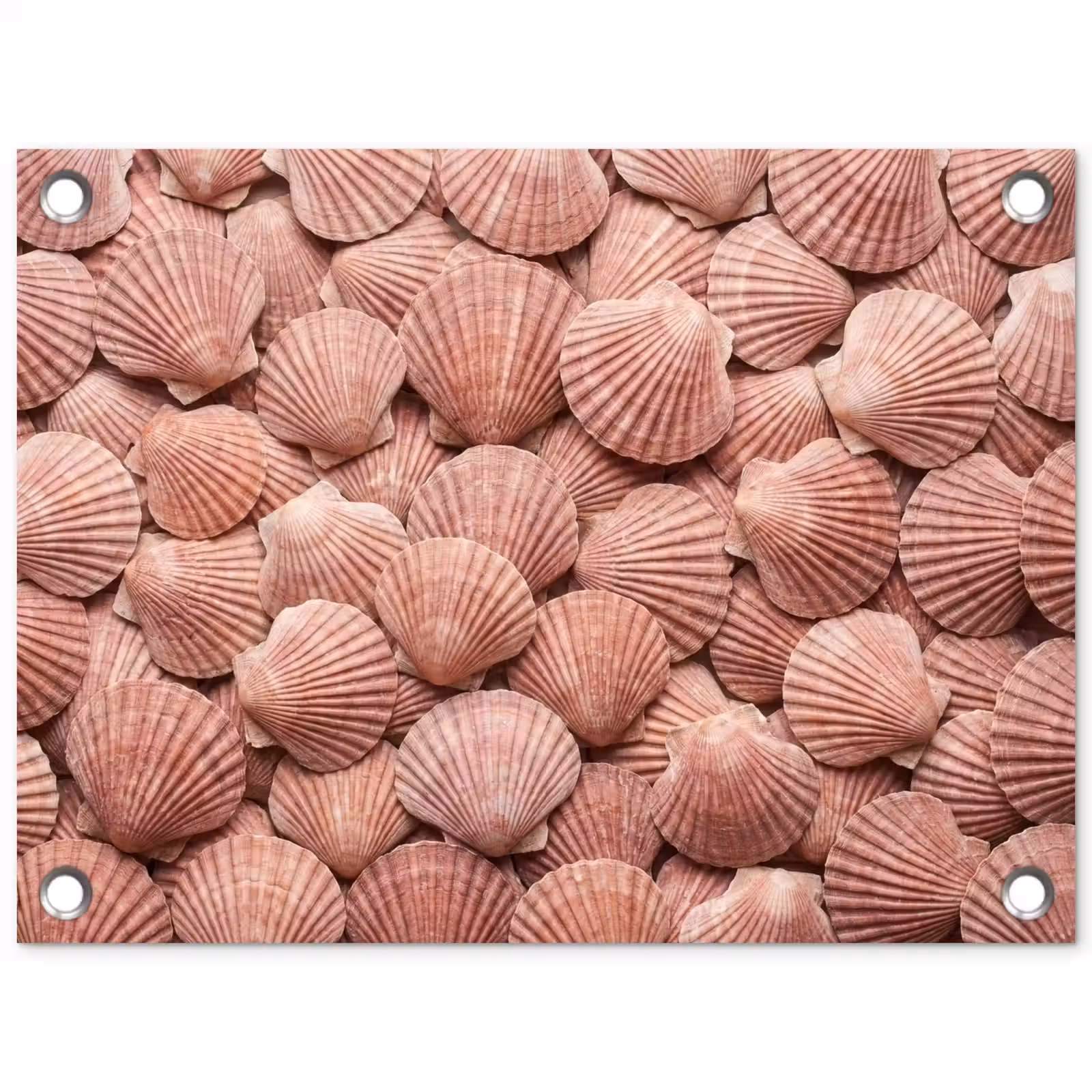 Tuinposter - Schelpen - Patroon - Roze — 1