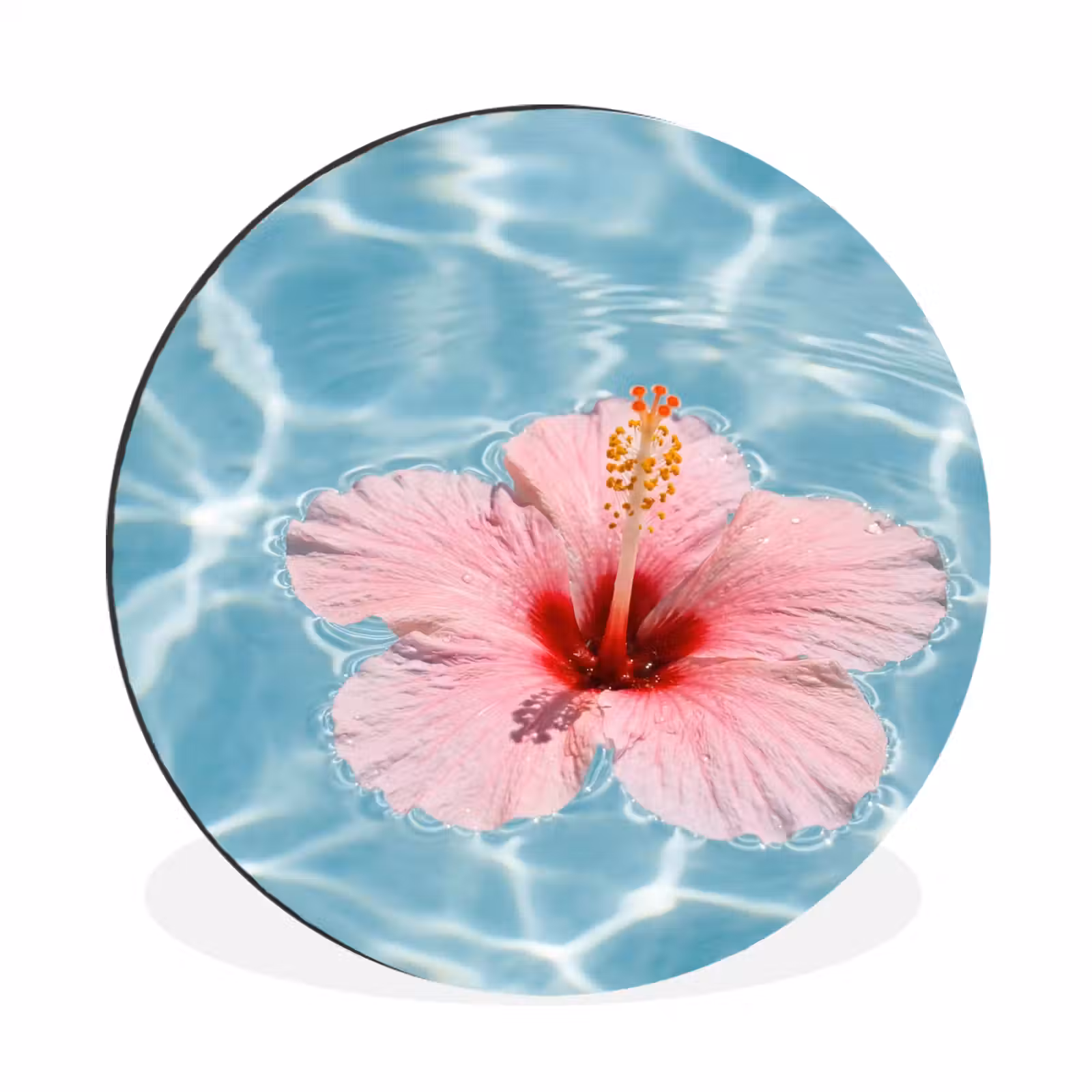 Wandcirkel - Aluminium - Hibiscus - Water - Roze — 1