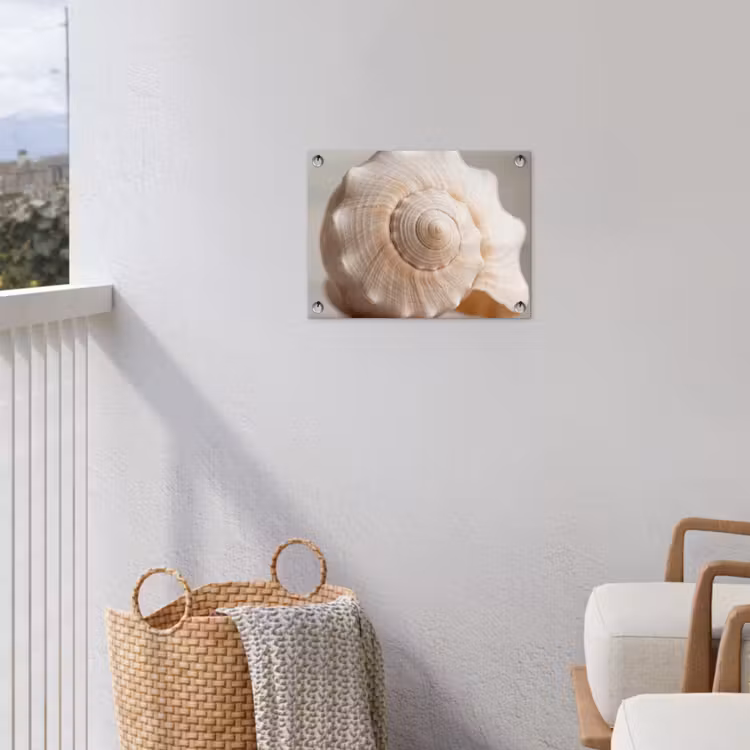 Tuinposter - Schelp - Detail - Beige — 3