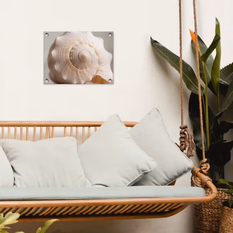 Tuinposter - Schelp - Detail - Beige — 5