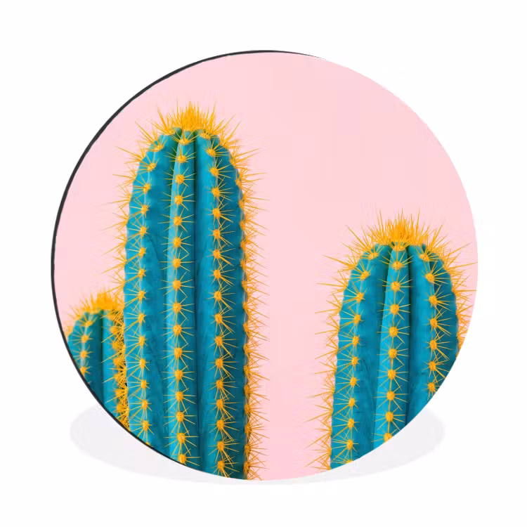 Wandcirkel - Aluminium - Cactussen - Modern - Pastel — 1