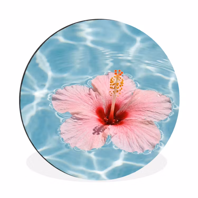 Wandcirkel - Aluminium - Hibiscus - Water - Roze — 1
