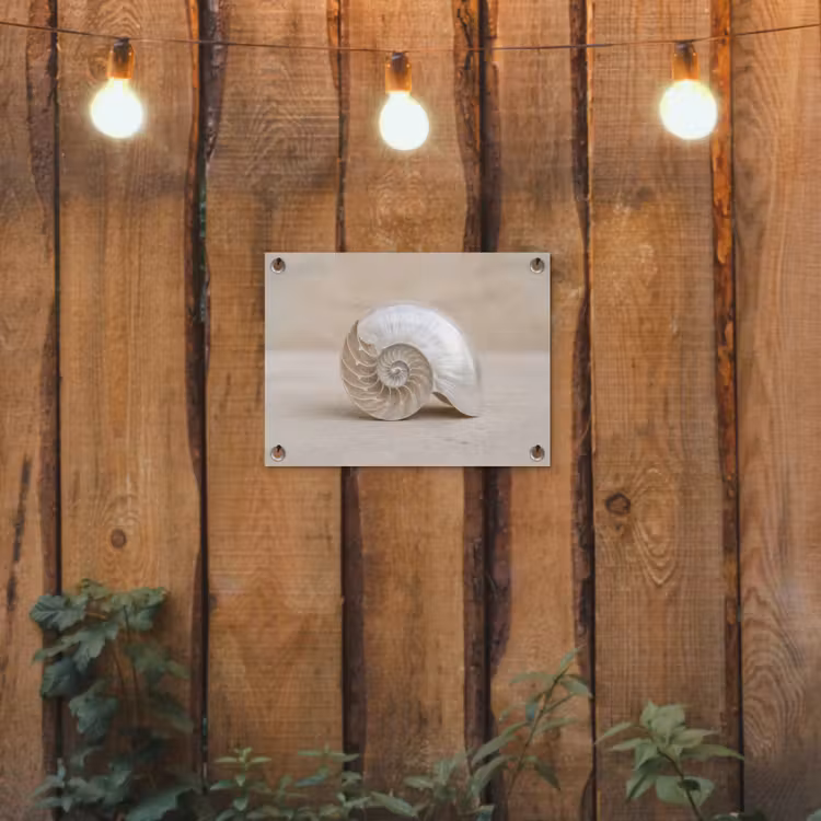 Tuinposter - Schelp - Spiraal - Beige — 2