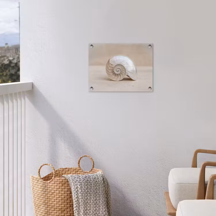 Tuinposter - Schelp - Spiraal - Beige — 3