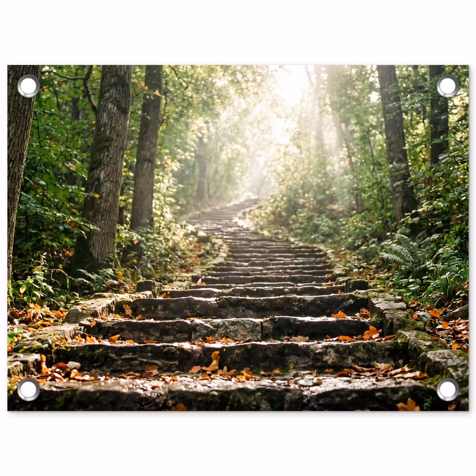 Tuinposter - Stenen - Trap - Bos - Natuur — 1