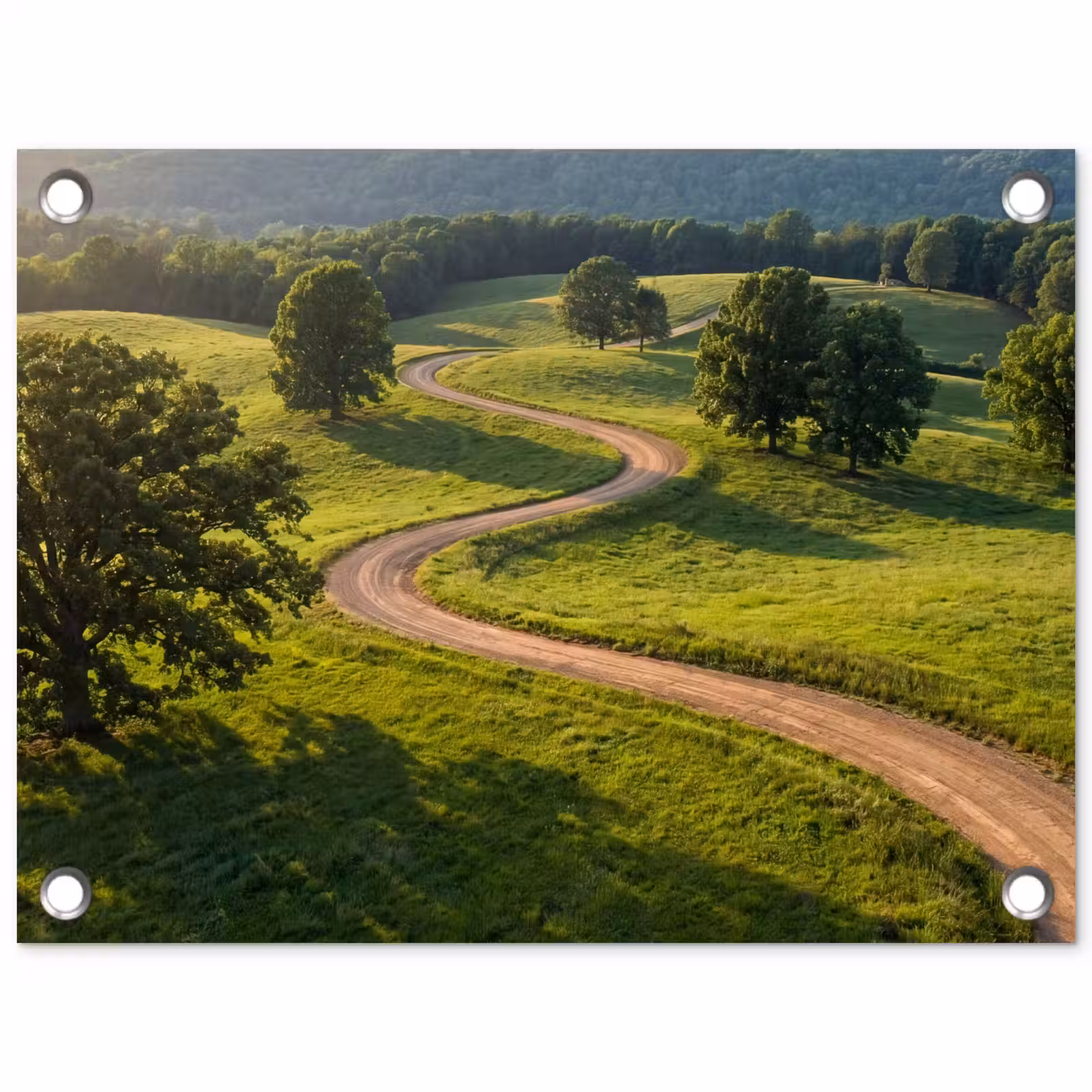 Tuinposter - Weg - Weide - Natuur - Groen — 1