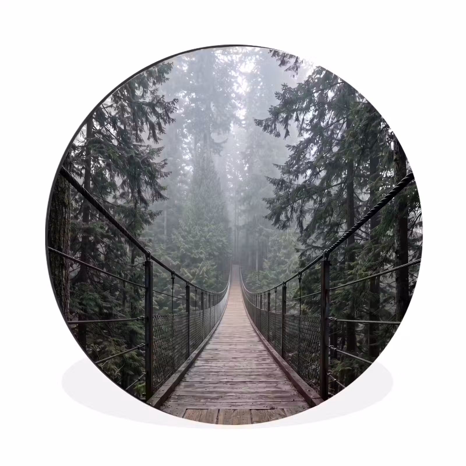 Wandcirkel - Aluminium - Brug - Bos - Mist - Natuur — 1