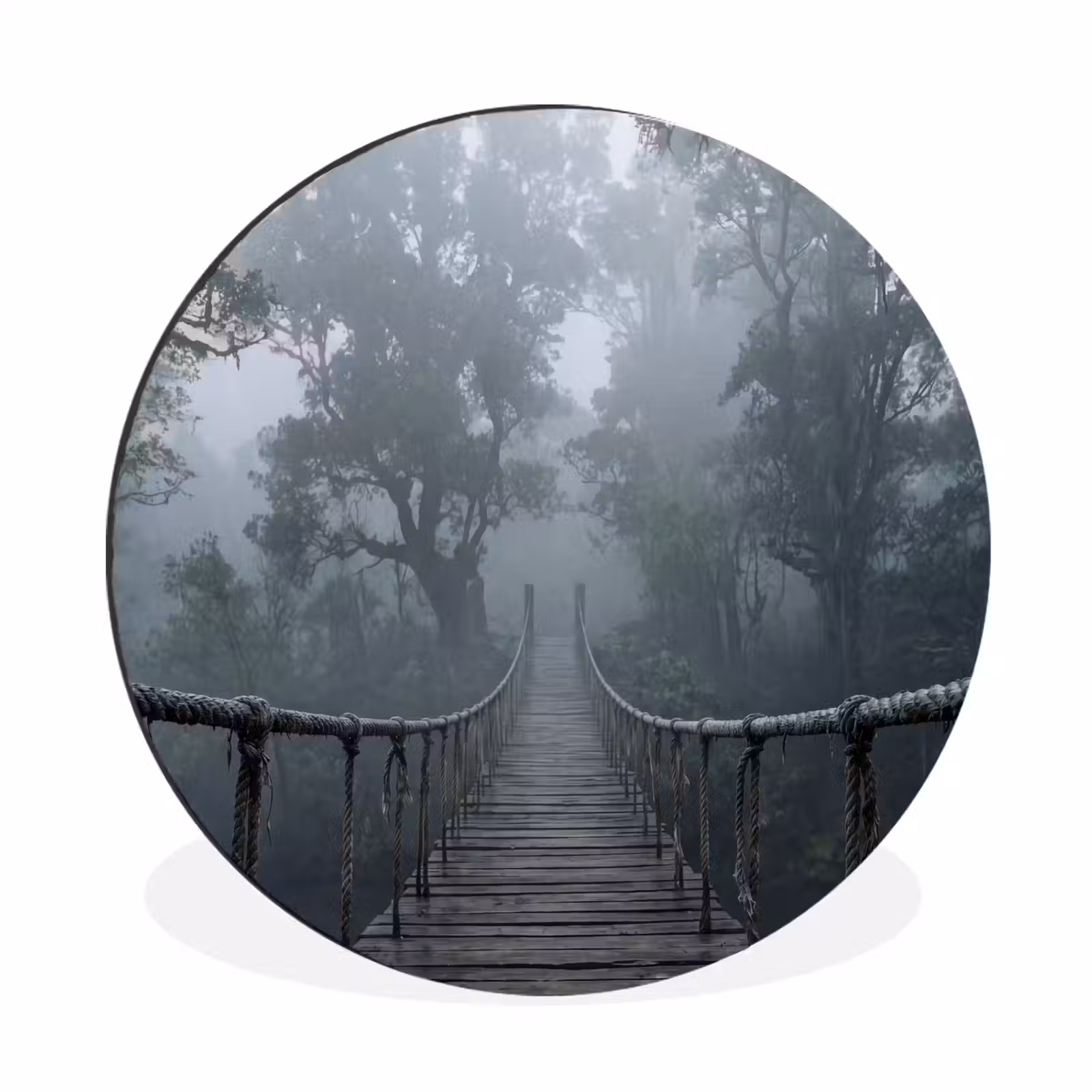 Wandcirkel - Aluminium - Brug - Jungle - Mist - Natuur — 1