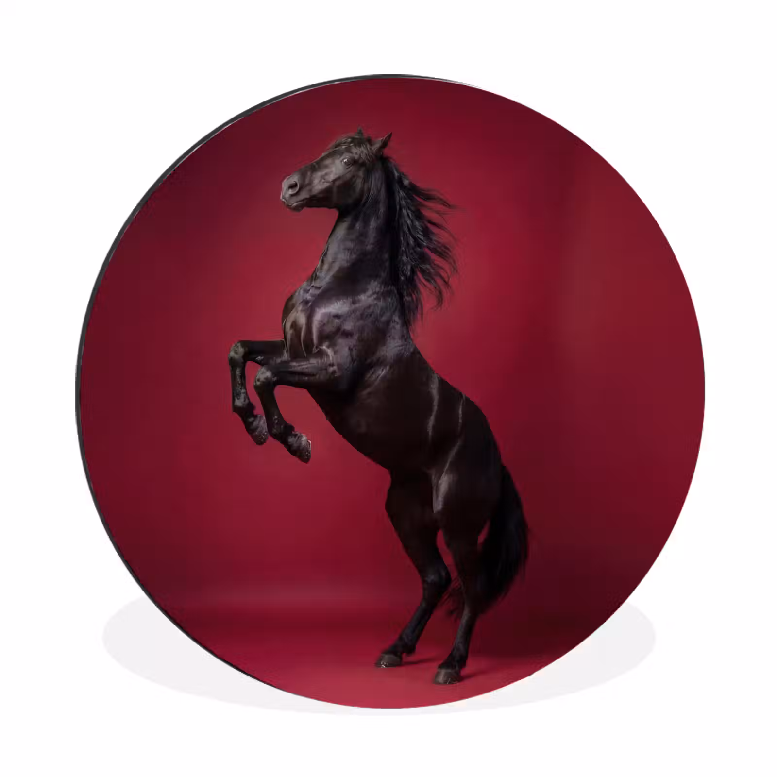 Wandcirkel - Aluminium - Hengst - Steigert - Rood — 1