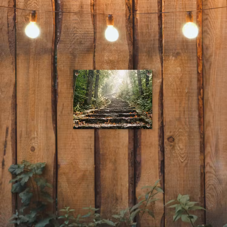 Tuinposter - Stenen - Trap - Bos - Natuur — 2