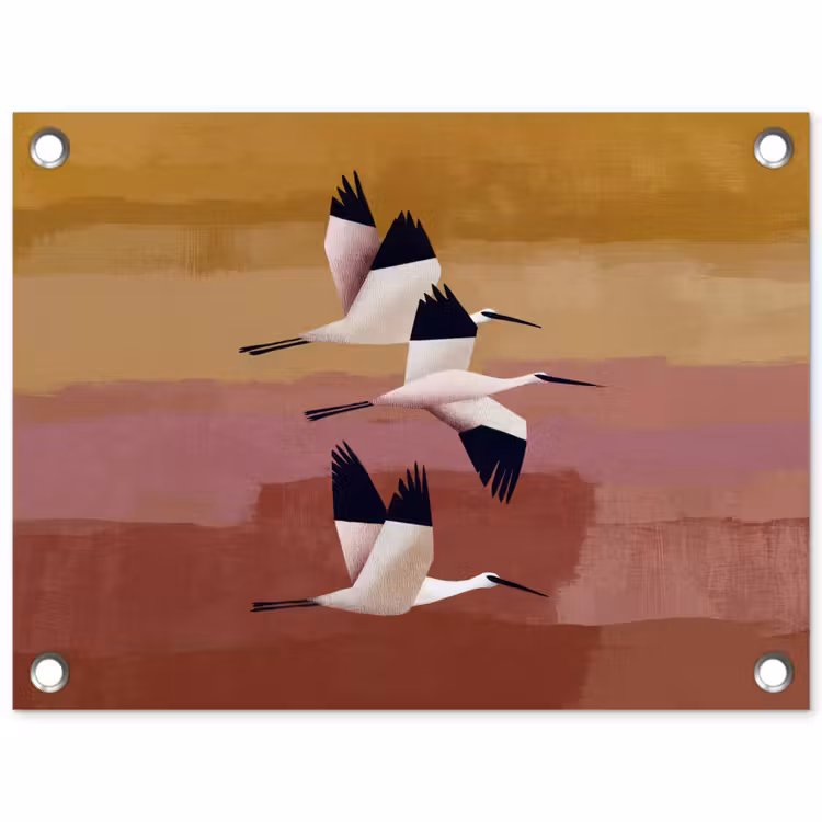 Tuinposter - Vogels - Snavel - Abstract — 1