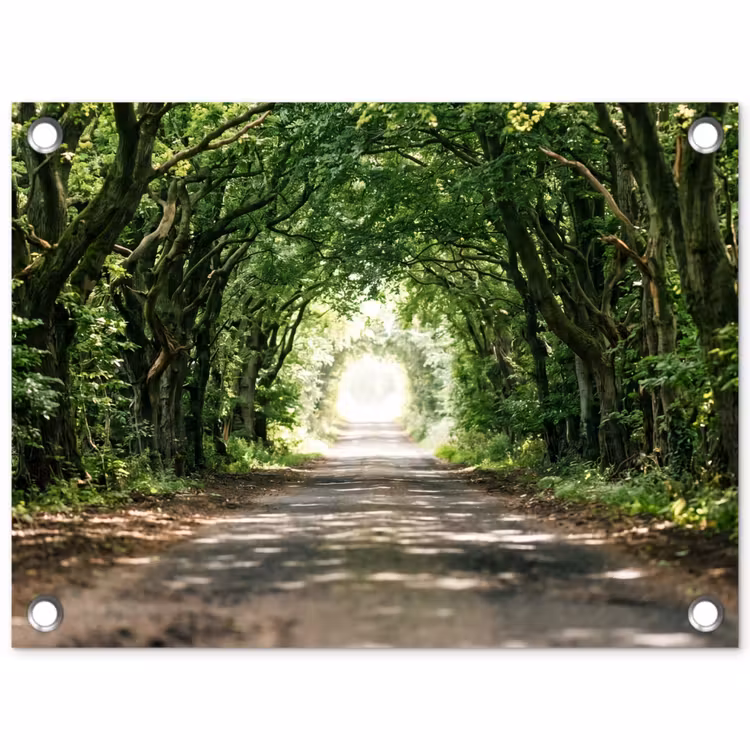 Tuinposter - Weg - Bomen - Natuur - Groen — 1