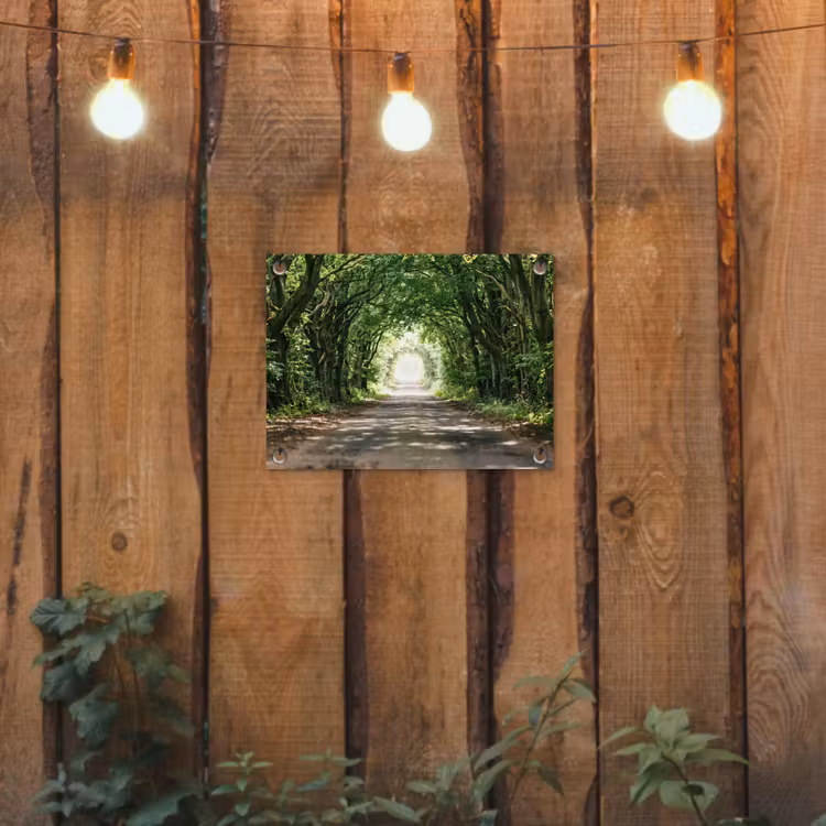 Tuinposter - Weg - Bomen - Natuur - Groen — 2