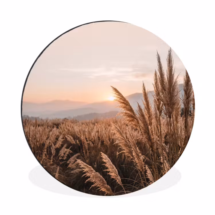 Wandcirkel - Aluminium - Gras - Veld - Zon - Natuur — 1