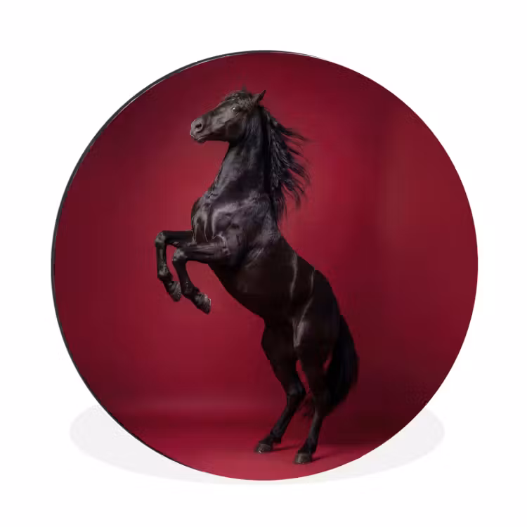 Wandcirkel - Aluminium - Hengst - Steigert - Rood — 1