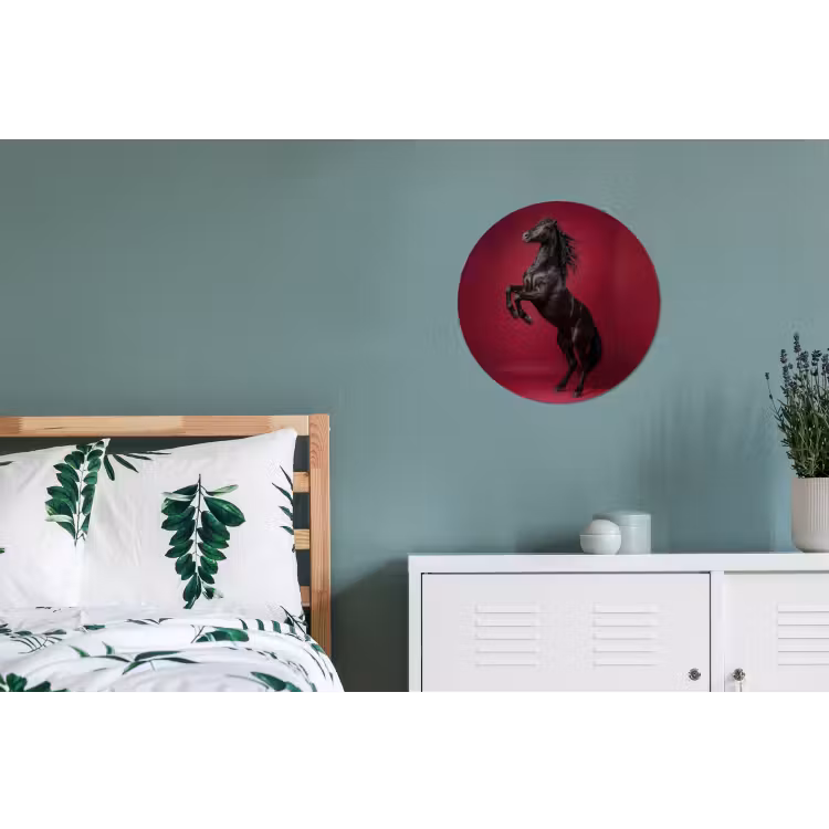 Wandcirkel - Aluminium - Hengst - Steigert - Rood — 4