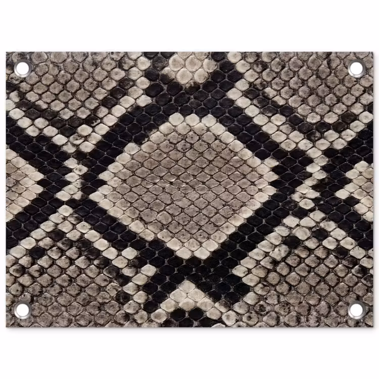 Tuinposter - Slangenleer - Patroon - Beige — 1