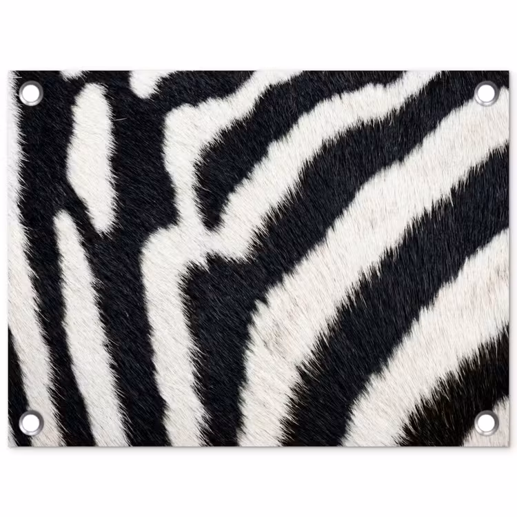 Tuinposter - Zebra - Vacht - Klassiek - Zwart - Wit — 1