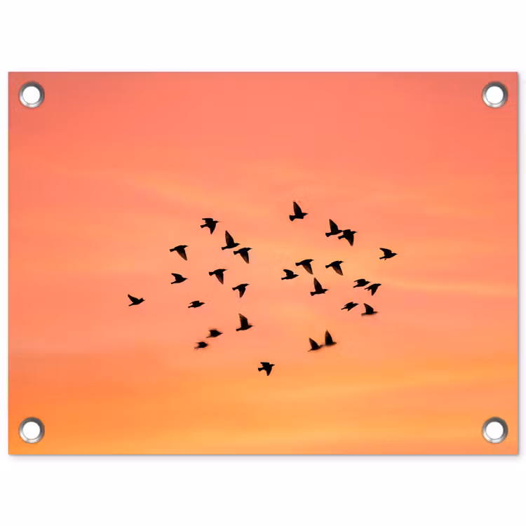 Tuinposter - Zwerm - Vogels - Oranje — 1