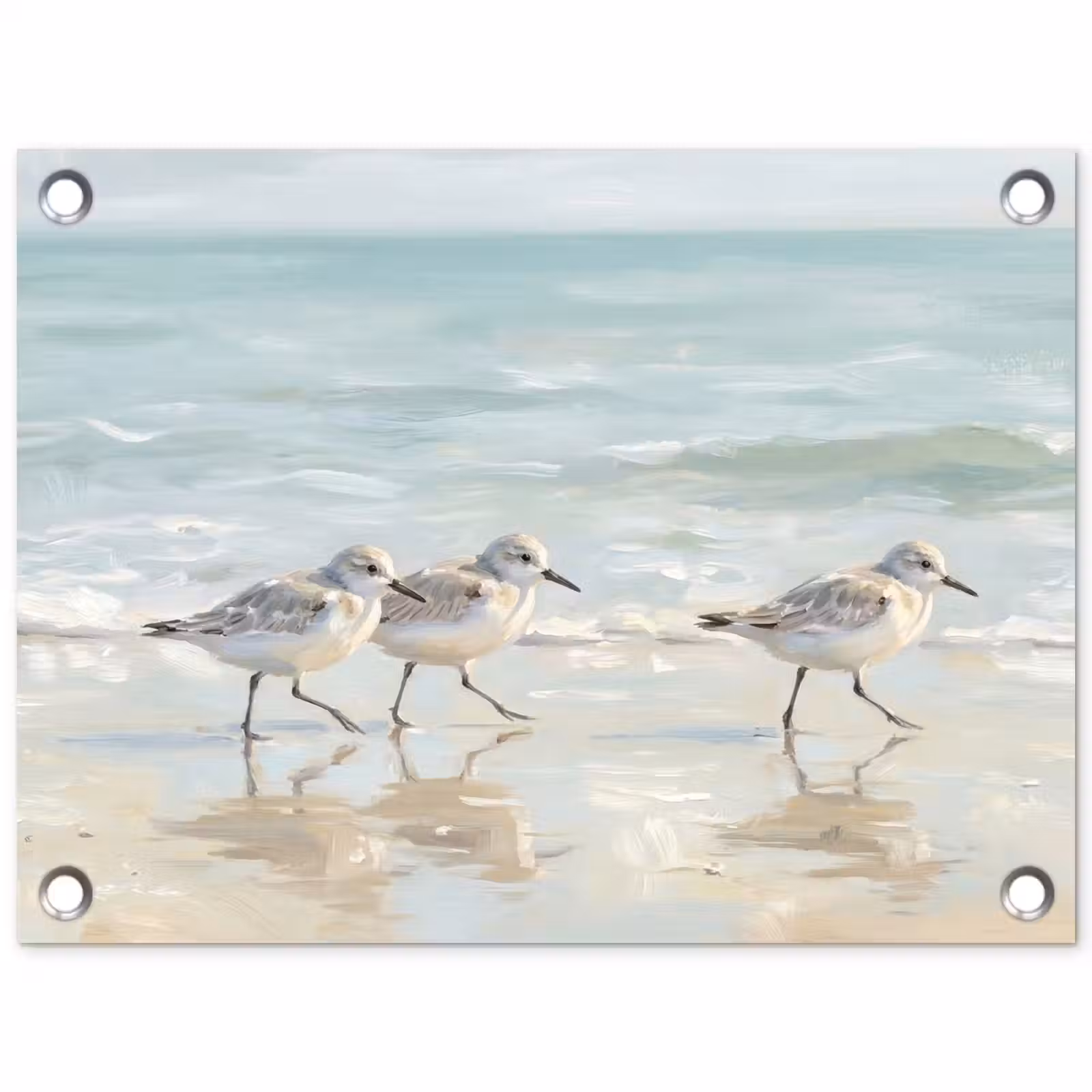 Tuinposter - Vogels - Strand - Zee — 1