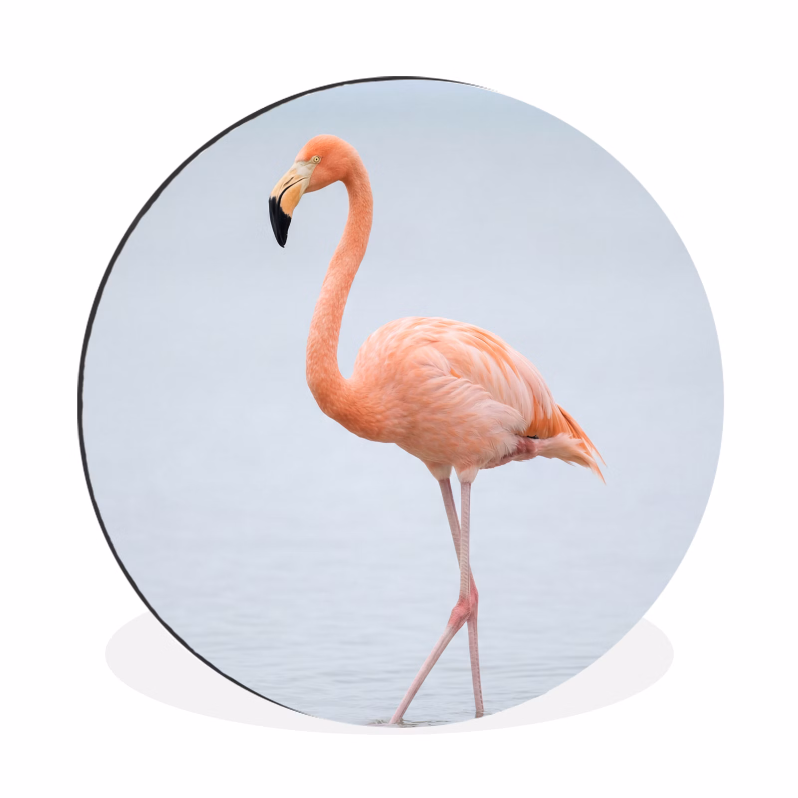 Wandcirkel - Aluminium - Flamingo - Zee - Roze — 1
