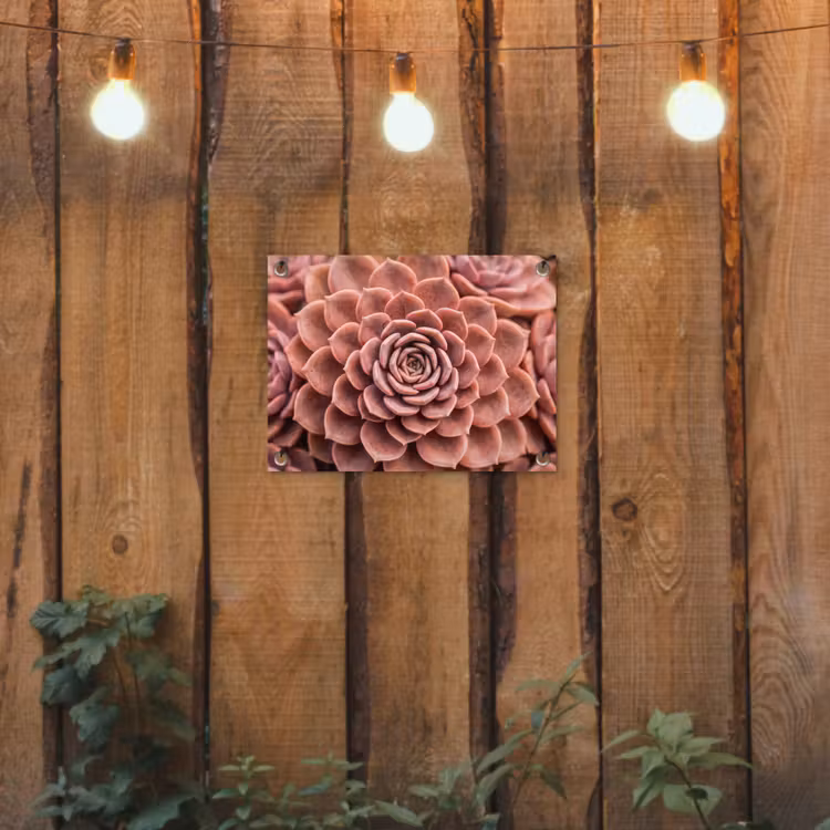 Tuinposter - Vetplant - Organisch - Roze — 2