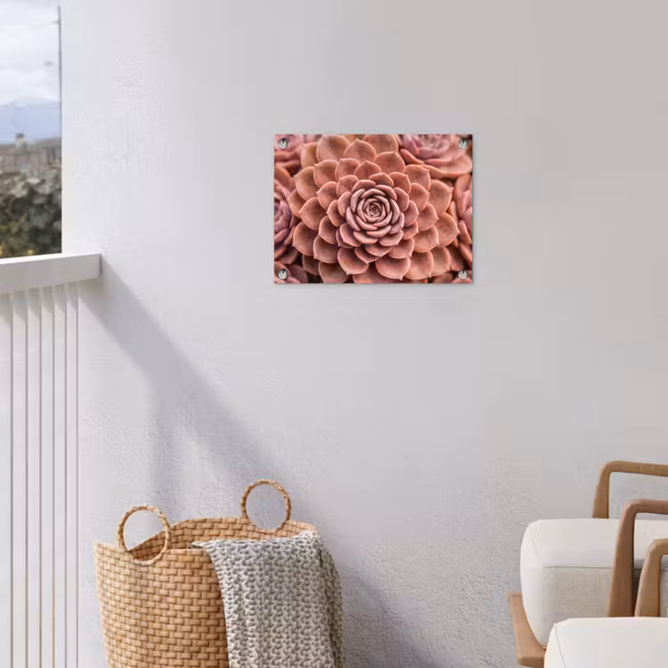 Tuinposter - Vetplant - Organisch - Roze — 3