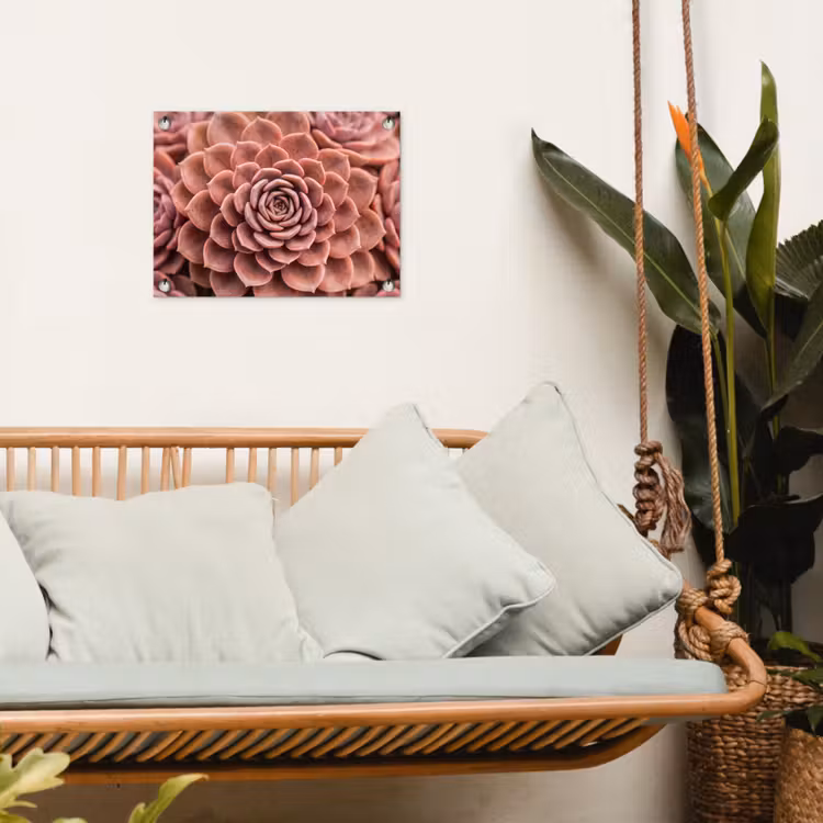 Tuinposter - Vetplant - Organisch - Roze — 5