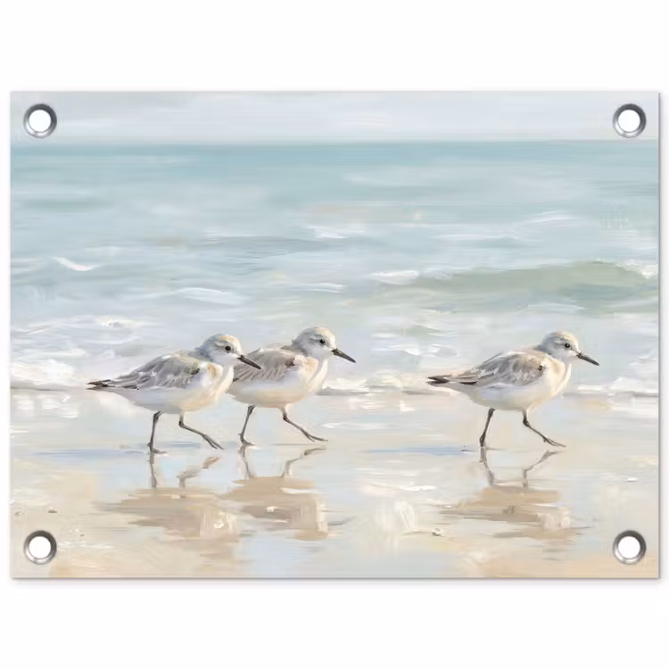 Tuinposter - Vogels - Strand - Zee — 1