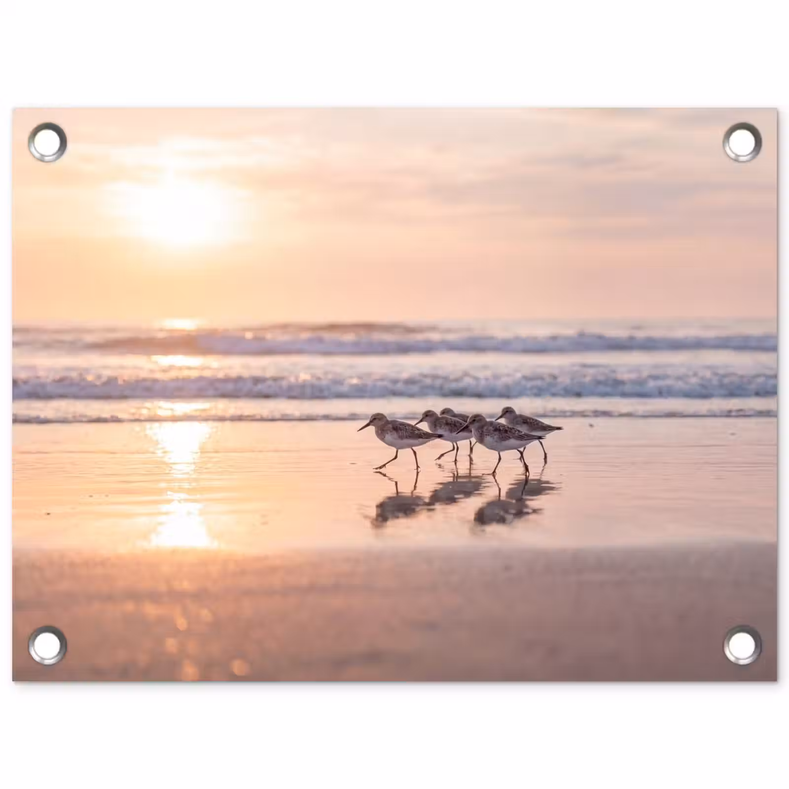 Tuinposter - Zee - Vogels - Strand — 1
