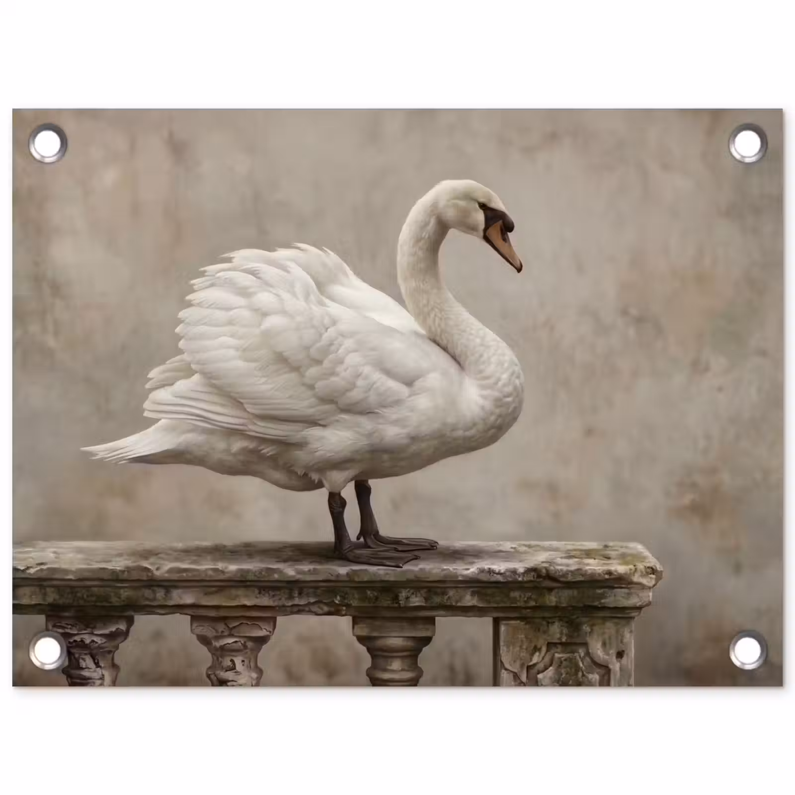 Tuinposter - Zwaan - Elegant - Dieren - Wit — 1