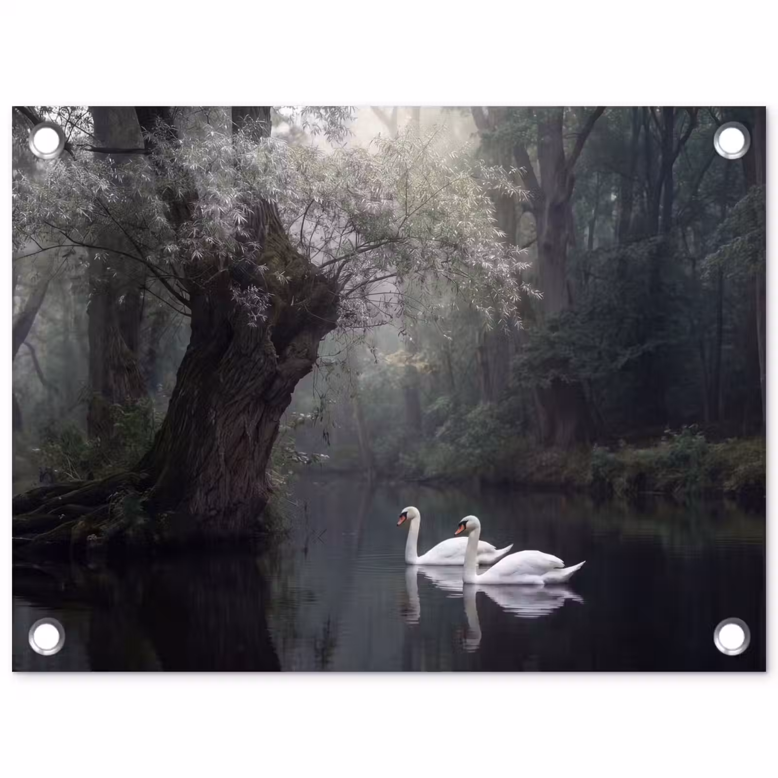 Tuinposter - Zwanen - Rivier - Bos — 1