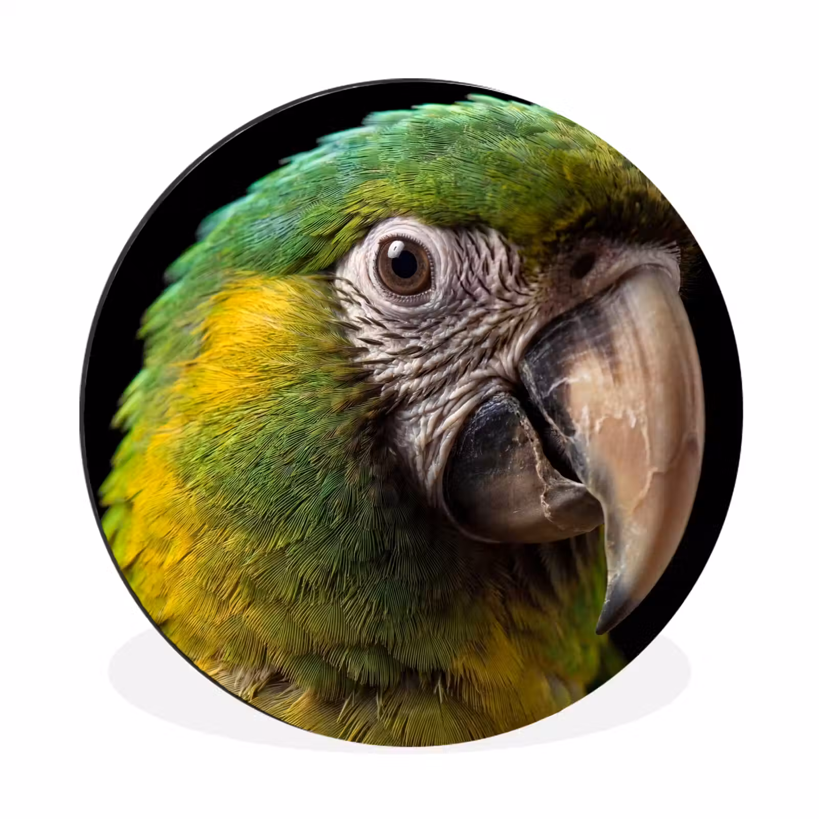 Wandcirkel - Aluminium - Ara - Portret - Groen — 1