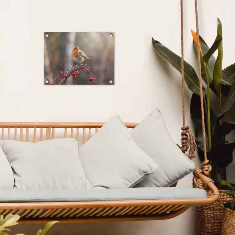 Tuinposter - Roodborst - Tak - Bessen - Natuur — 5
