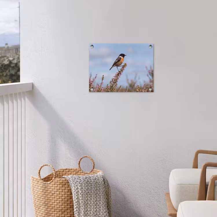 Tuinposter - Roodborsttapuit - Heide - Paars - Natuur - Sfeervol — 3