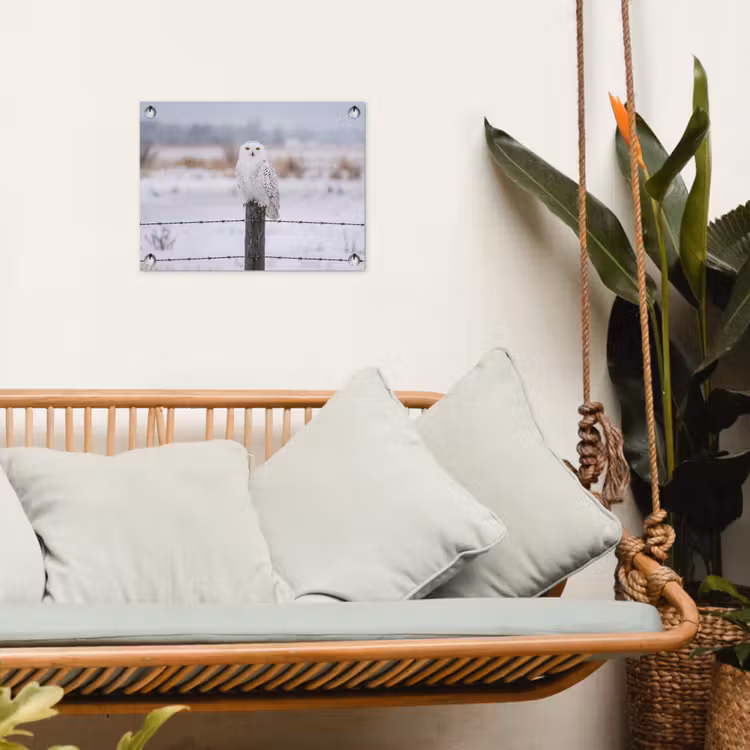 Tuinposter - Sneeuwuil - Hek - Sneeuw - Wit — 5