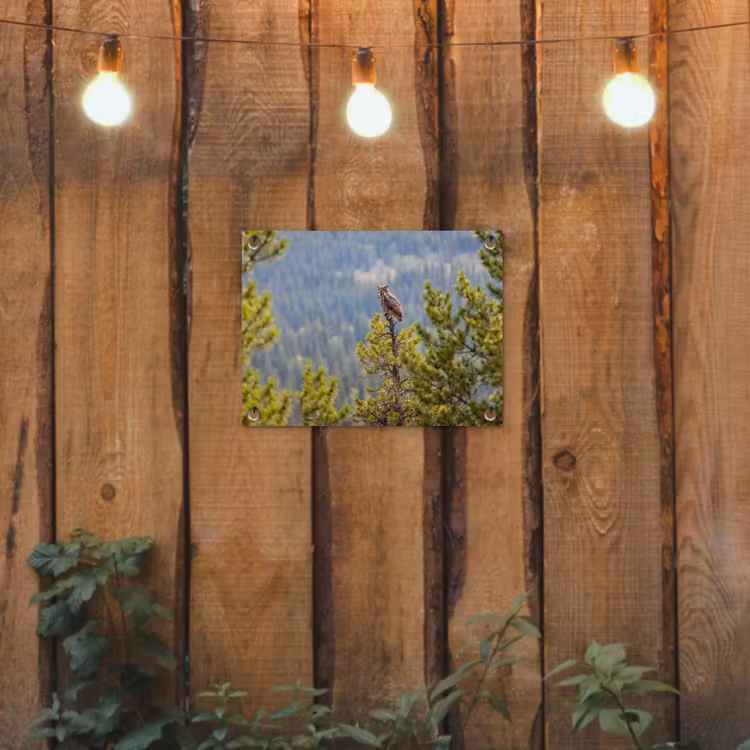Tuinposter - Uil - Oehoe - Bomen - Natuur — 2