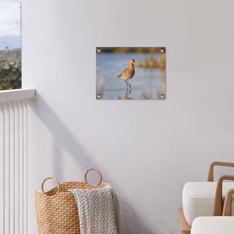 Tuinposter - Vogel - Steltloper - Water - Natuur — 3