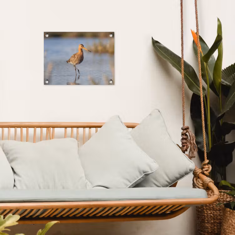 Tuinposter - Vogel - Steltloper - Water - Natuur — 5
