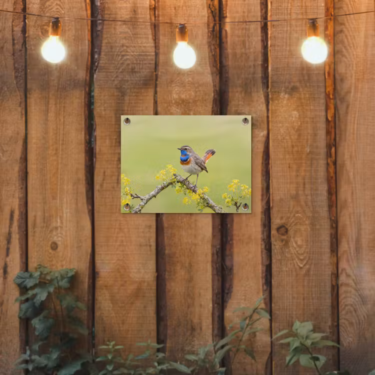 Tuinposter - Vogel - Tak - Natuur - Kleurrijk — 2