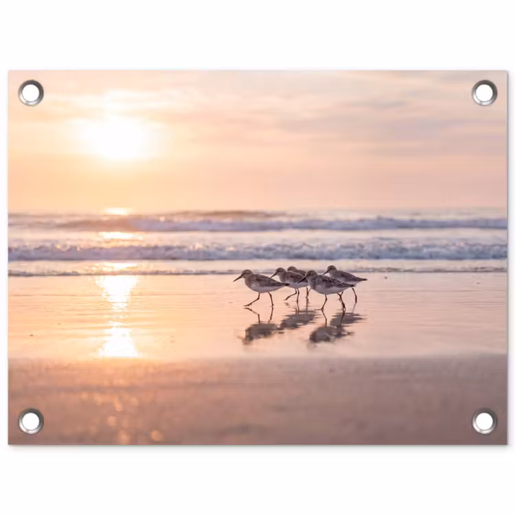 Tuinposter - Zee - Vogels - Strand — 1
