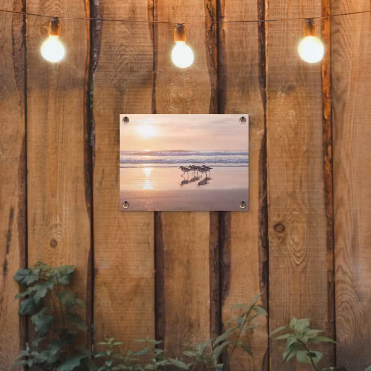Tuinposter - Zee - Vogels - Strand — 2