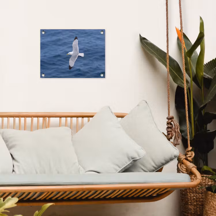 Tuinposter - Zeemeeuw - Oceaan - Blauw — 5