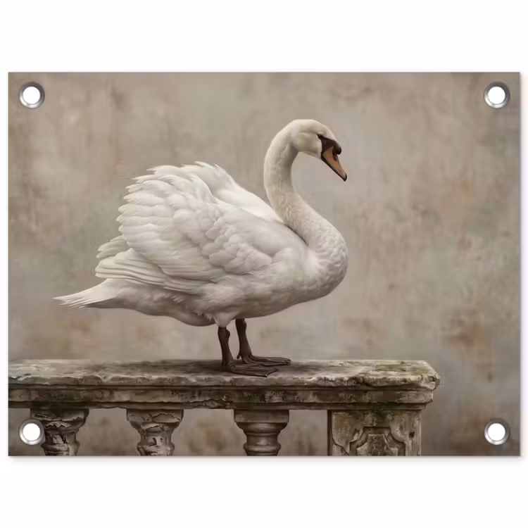 Tuinposter - Zwaan - Elegant - Dieren - Wit — 1