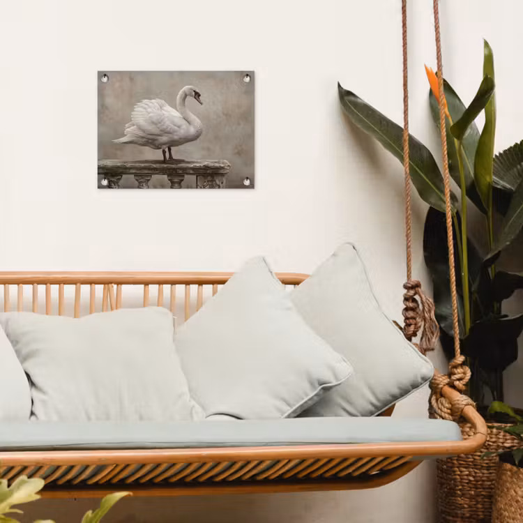 Tuinposter - Zwaan - Elegant - Dieren - Wit — 5