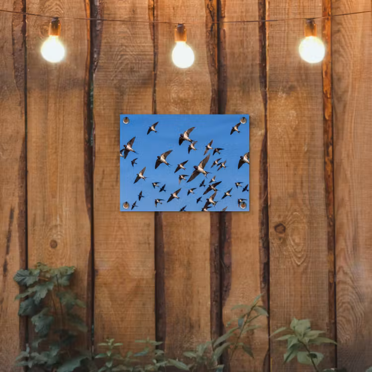 Tuinposter - Zwaluwen - Vliegen - Blauw — 2
